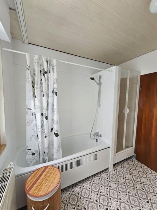 Grosse Ferienwohnung Am Waldrand เชอเนา ภายนอก รูปภาพ